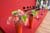 20090207_blumenschmu#3C3896