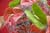 20090207_blumenschmu#3C389E