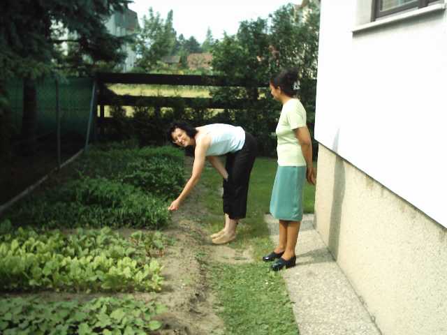 Bild030