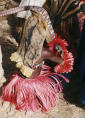 Bild018