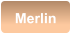 Merlin