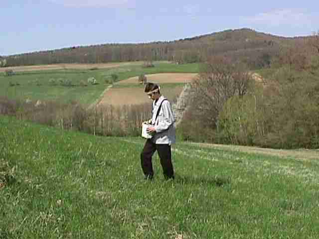 Klicken Sie auf das Bild um zur Bildbersicht zurckzukehren.