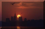 Skyline von Warschau mit dem hchsten Kulturpalast