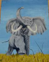 Tiere_008 Elefant