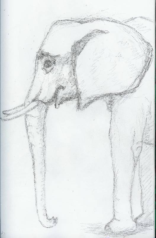 Elefant_02 Elefant 2<br><p><br>Bleistift auf Papier