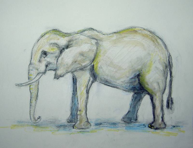 Elefant_05 Elefant 5<br><p><br>Bleistift und Kreide auf Papier