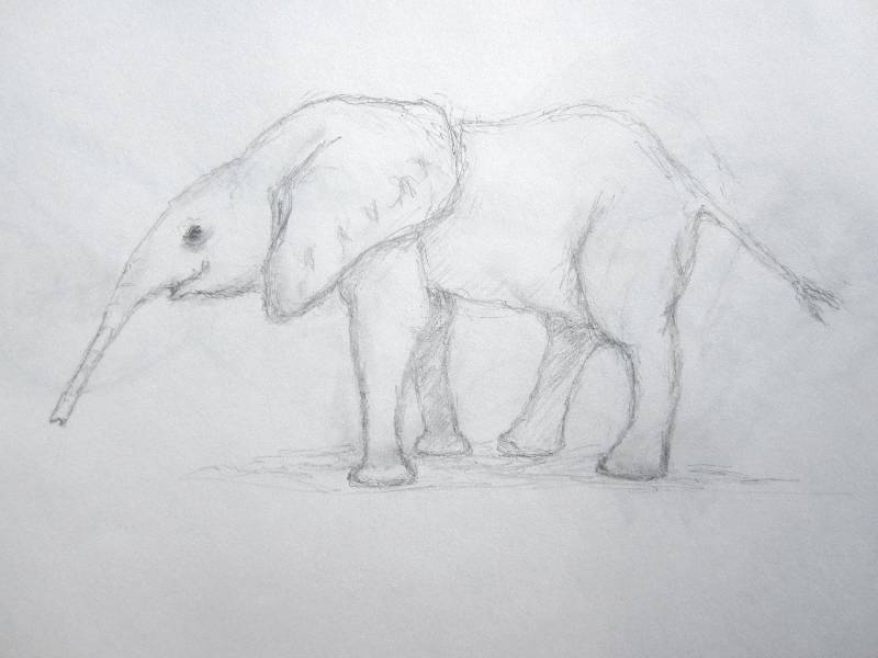 Elefant_06 Elefant 6<br><p><br>Bleistift auf Papier