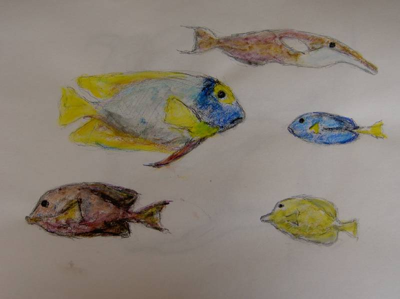 Fische_01 Fische 1<br><p><br>Bleistift und Kreide auf Papier
