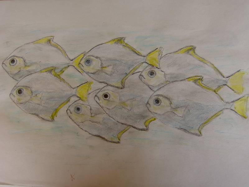 Fische_02 Fische 2<br><p><br>Bleistift und Kreide auf Papier