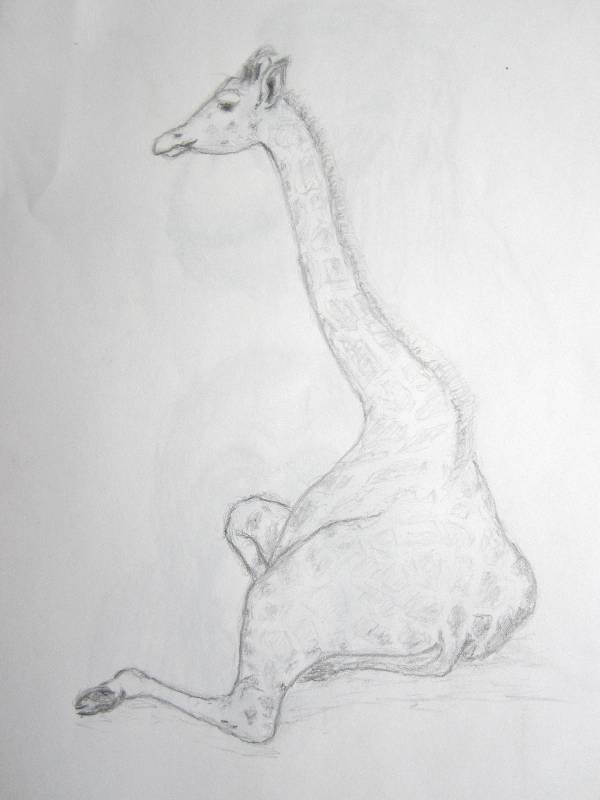 Giraffe_04 Giraffe 4<br><p><br>Bleistift auf Papier