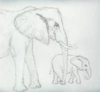 Elefant_01 Elefant 1