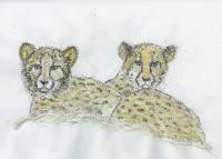 Gepard_02 Gepard 2