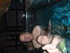 PA300531.JPG