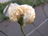 'Mlle de Sombreuil'