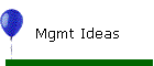 Mgmt Ideas