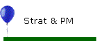 Strat & PM