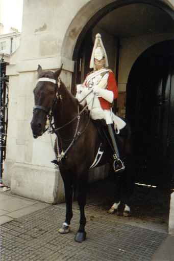 Horseguard