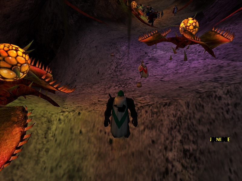 Dungeon auf Shrouded Island