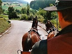 Romantische Kutschenfahrt durch den Naturpark Rechberg