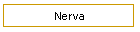 Nerva