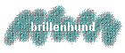 brillenhund