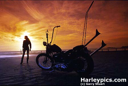 harley15.jpg (21794 Byte)