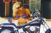 harley52.jpg (37147 Byte)