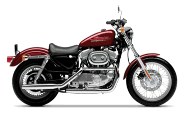 sportster.gif (24658 Byte)