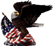 usaeagle.gif (16399 Byte)