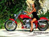 x36.jpg (50381 Byte)