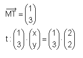 MT = (1,3)   t: (1,3)*(x,y) = (1,3)*(2,2)