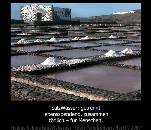 haiku_17.jpg