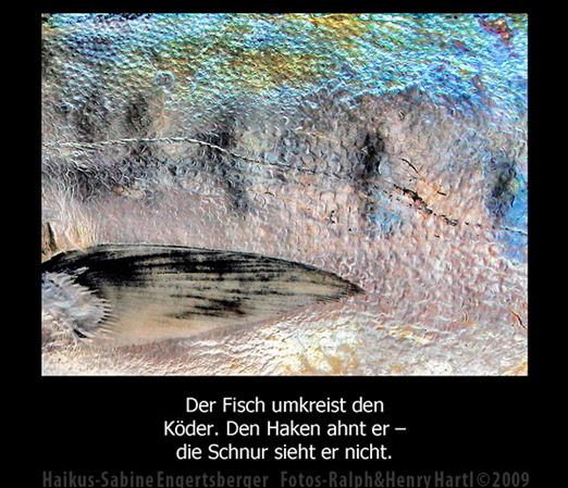 haiku_20.jpg