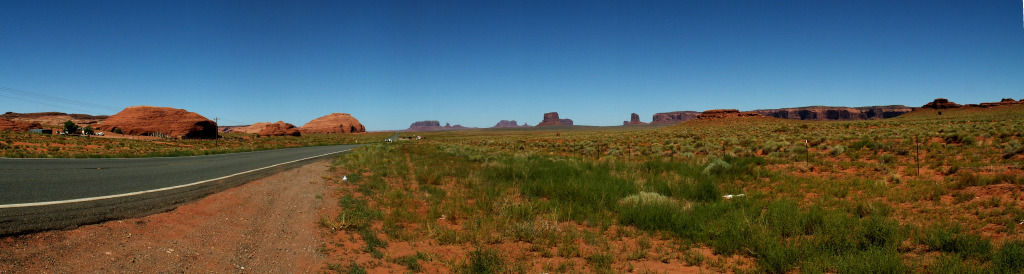 hardy_1001006.jpg