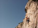 hardy_1005002.jpg