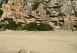 hardy_1005007.jpg