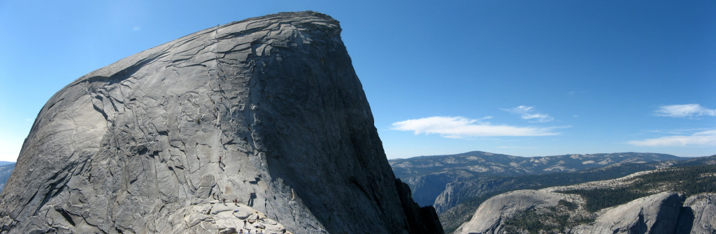 hardy_1006021.jpg
