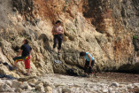 hardy_1008006.jpg