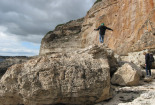 hardy_1008008.jpg