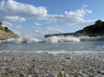 hardy_1008009.jpg