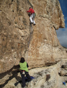 hardy_1008010.jpg
