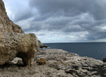 hardy_1008011.jpg