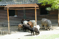 Pötzleinsdorfer Schloßpark