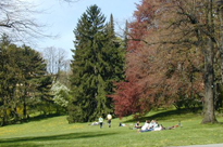 Türkenschanzpark