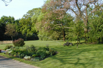 Währingerpark