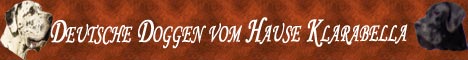 Deutsche Doggen vom Hause Klarabella