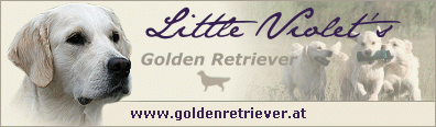 Little Violet`s of Whispering  Palms