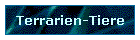 Terrarien-Tiere