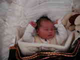 Theodor 2002-04-02