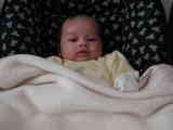 Theo
